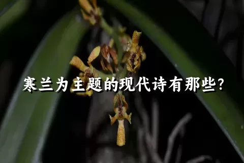 寒兰为主题的现代诗有那些？