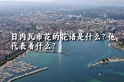 日内瓦市花的花语是什么？他代表着什么？