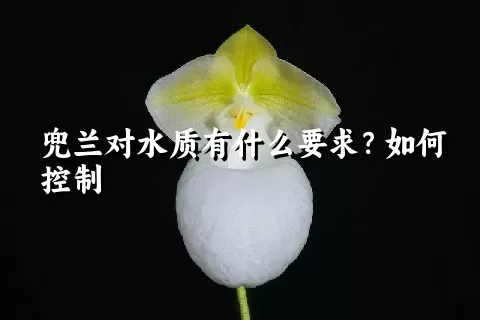 兜兰对水质有什么要求？如何控制