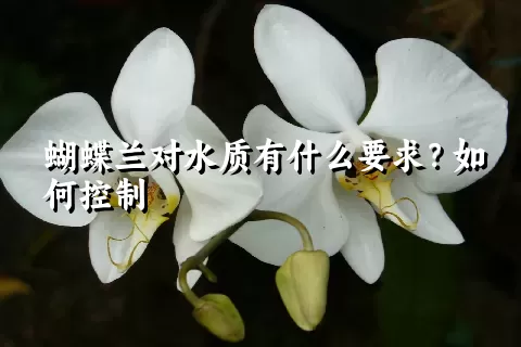 蝴蝶兰对水质有什么要求？如何控制