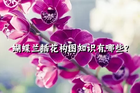 蝴蝶兰插花构图知识有哪些？