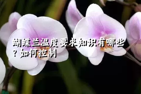 蝴蝶兰温度要求知识有哪些？如何控制