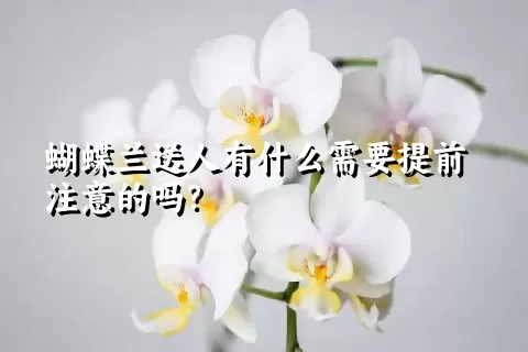 蝴蝶兰送人有什么需要提前注意的吗？