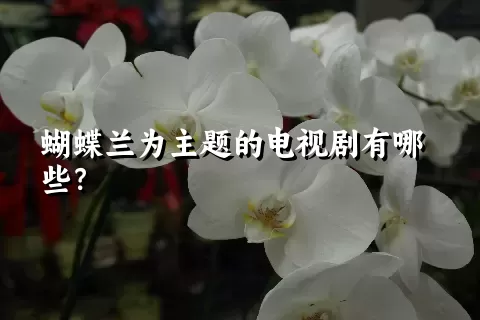 蝴蝶兰为主题的电视剧有哪些？