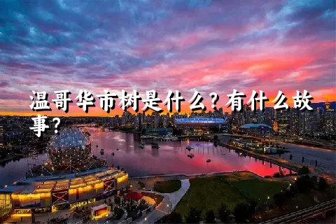 温哥华市树是什么？有什么故事？