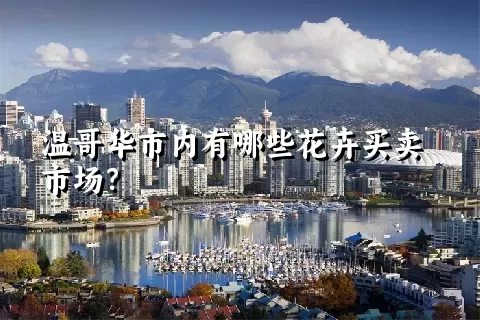 温哥华市内有哪些花卉买卖市场？