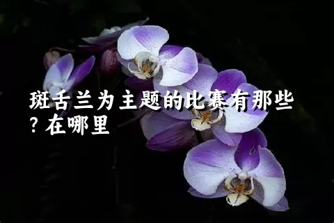 斑舌兰为主题的比赛有那些？在哪里