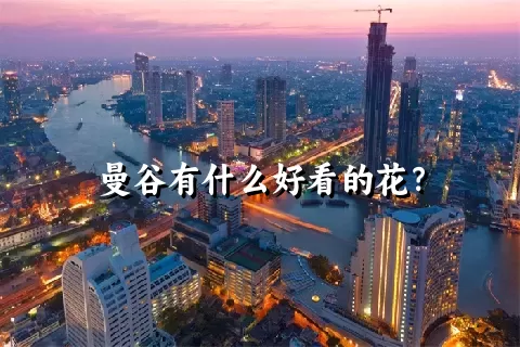 曼谷有什么好看的花？