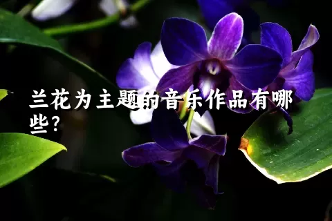 兰花为主题的音乐作品有哪些？