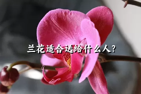 兰花适合送给什么人？