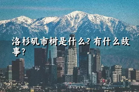 洛杉矶市树是什么？有什么故事？