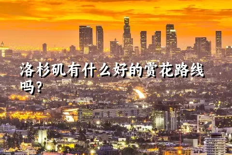 洛杉矶有什么好的赏花路线吗？