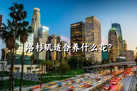 洛杉矶适合养什么花？