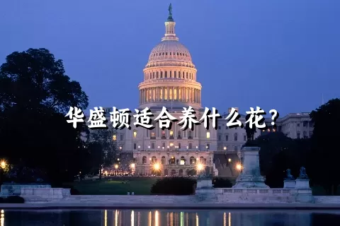 华盛顿适合养什么花？