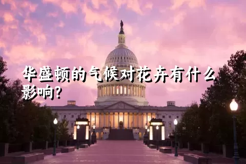 华盛顿的气候对花卉有什么影响？