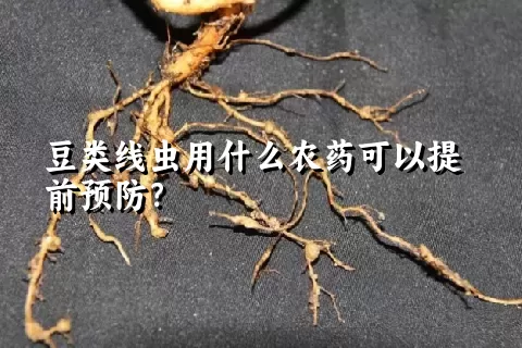 豆类线虫用什么农药可以提前预防？