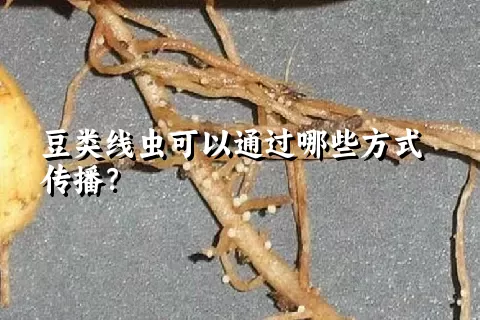 豆类线虫可以通过哪些方式传播？