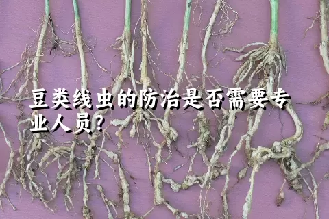 豆类线虫的防治是否需要专业人员？