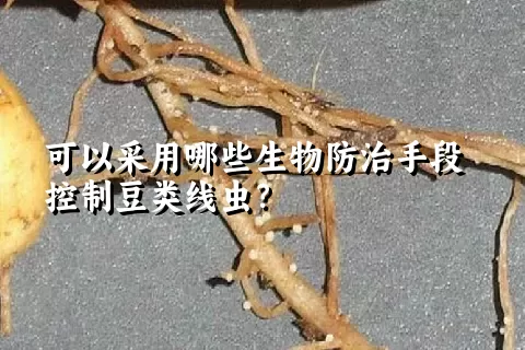 可以采用哪些生物防治手段控制豆类线虫？