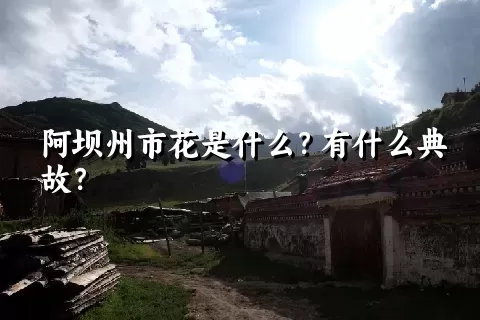 阿坝州市花是什么？有什么典故？