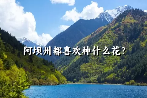 阿坝州都喜欢种什么花？