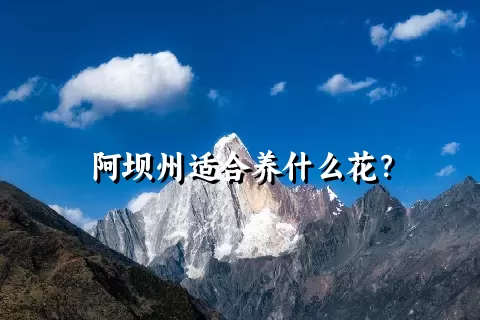 阿坝州适合养什么花？