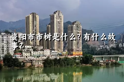 资阳市市树是什么？有什么故事？