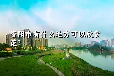 资阳市有什么地方可以欣赏花？