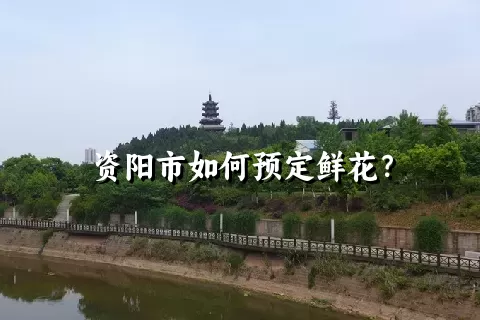 资阳市如何预定鲜花？