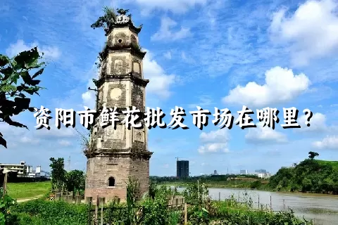 资阳市鲜花批发市场在哪里？