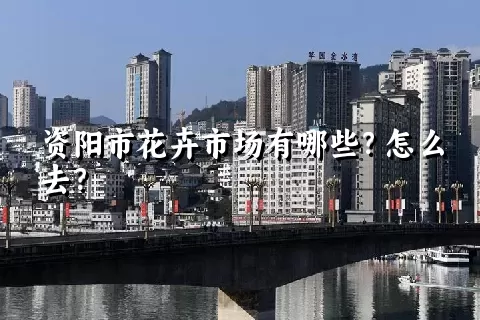 资阳市花卉市场有哪些？怎么去？