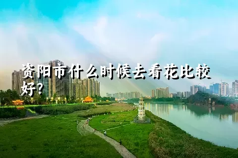 资阳市什么时候去看花比较好？