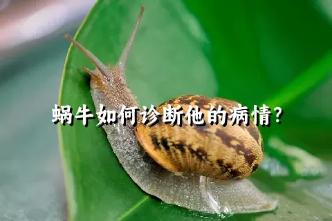 蜗牛如何诊断他的病情？