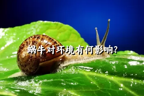 蜗牛对环境有何影响？