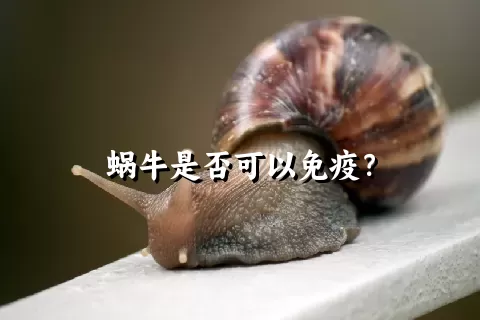 蜗牛是否可以免疫？