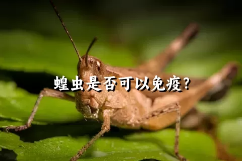 蝗虫是否可以免疫？