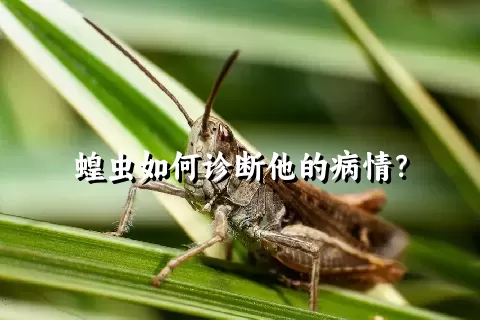 蝗虫如何诊断他的病情？