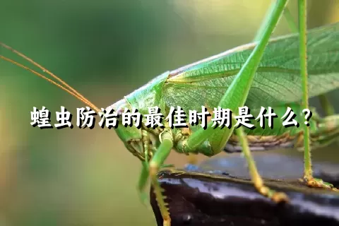 蝗虫防治的最佳时期是什么？