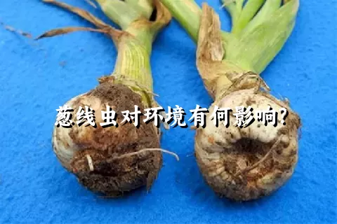 葱线虫对环境有何影响？