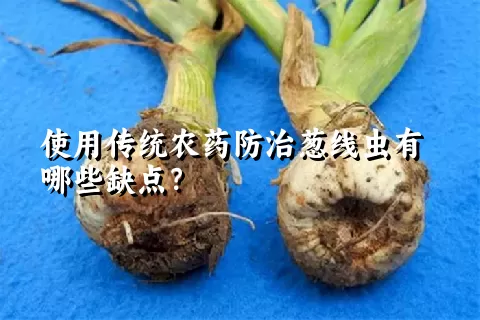 使用传统农药防治葱线虫有哪些缺点？