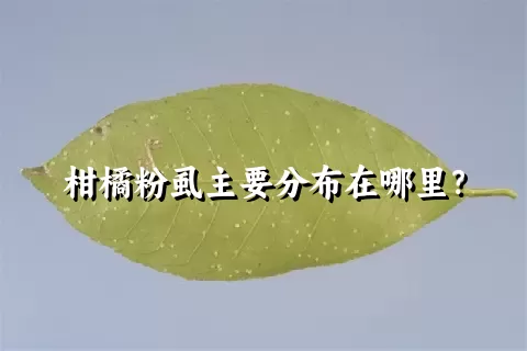 柑橘粉虱主要分布在哪里？