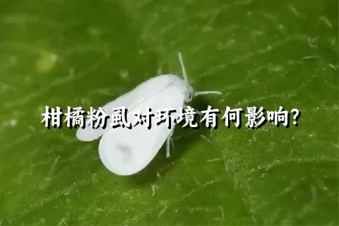 柑橘粉虱对环境有何影响？