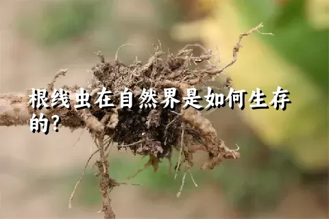 根线虫在自然界是如何生存的？