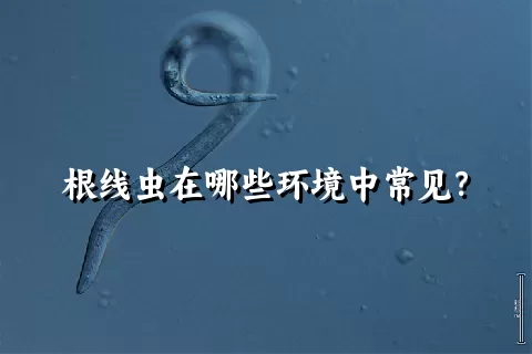 根线虫在哪些环境中常见？