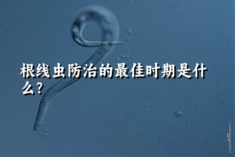 根线虫防治的最佳时期是什么？