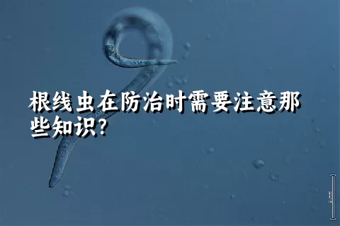 根线虫在防治时需要注意那些知识？