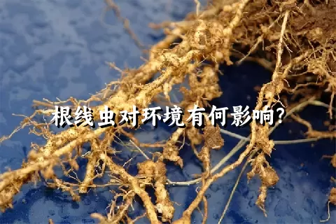 根线虫对环境有何影响？