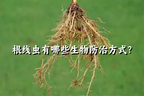 根线虫有哪些生物防治方式？