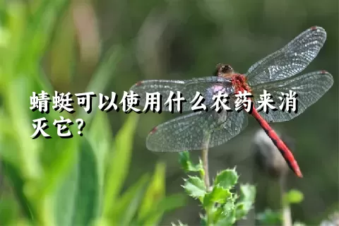 蜻蜓可以使用什么农药来消灭它？