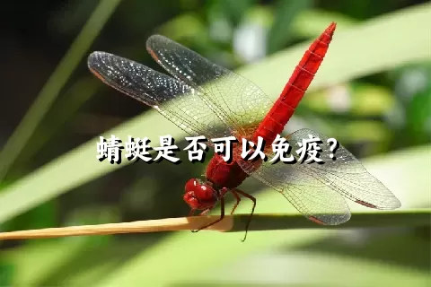 蜻蜓是否可以免疫？